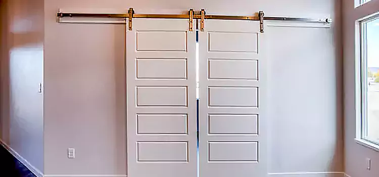 Glass Barn Door with Installation Hardware Kit Miramar