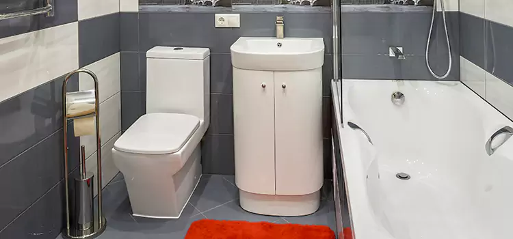 Hansgrohe Shaving Mirror Miramar
